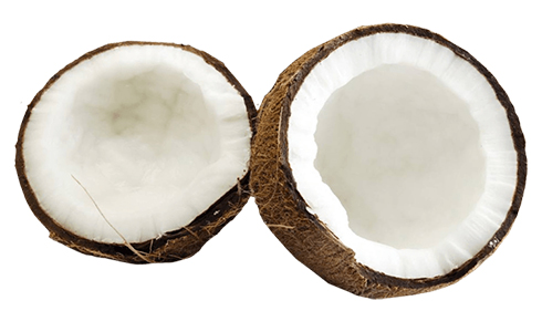 cocco frutto