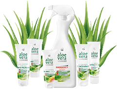 Prodotti all'Aloe Vera