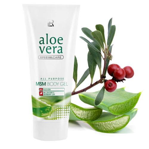 LR Aloe Vera Freedom MSM Body Gel