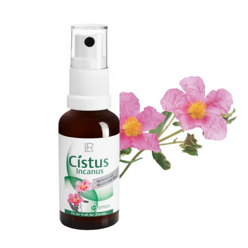 LR Cistus Incanus spray: trattamento del cavo orale