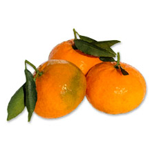 Mandarini